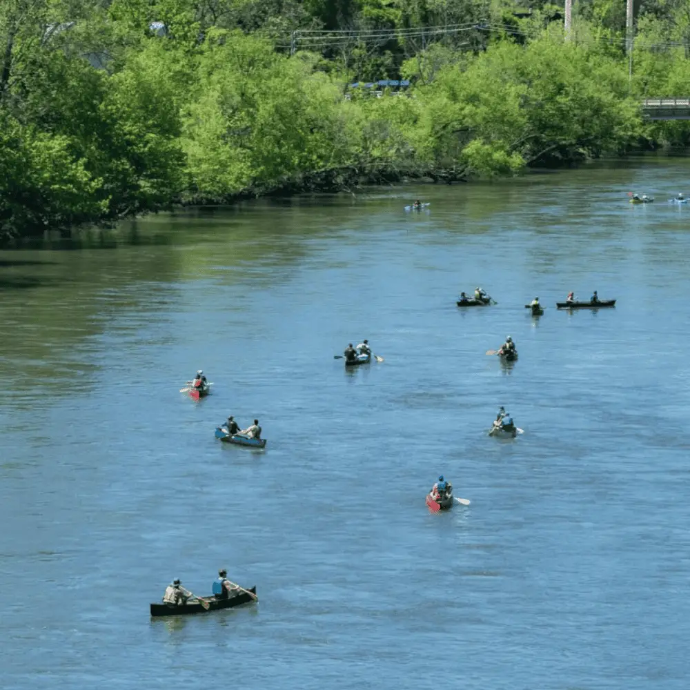 Cedar Rock Adventures canoe tours on a scenic river with lush green trees.